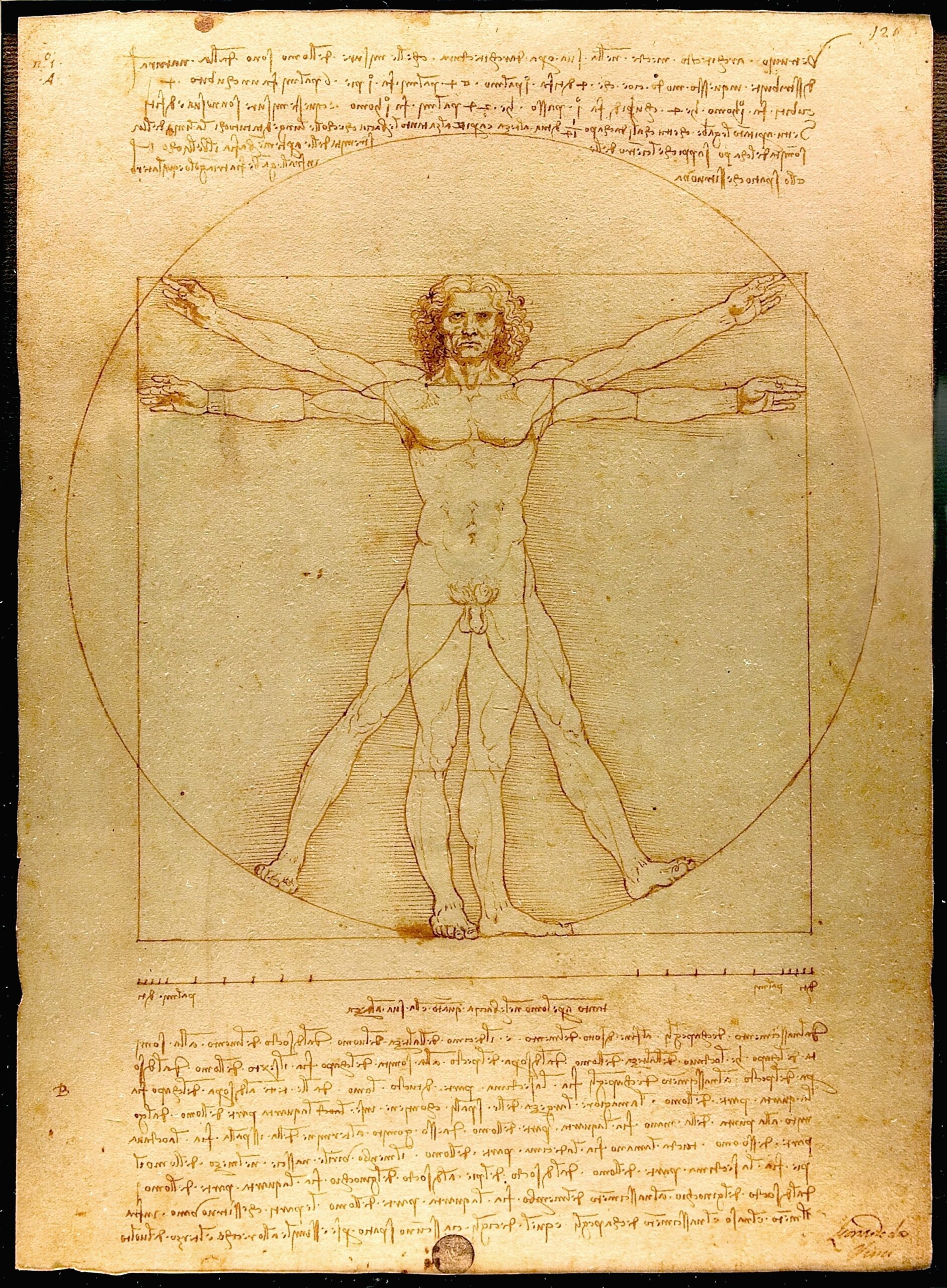 Renaissance